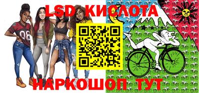 крисы Славгород
