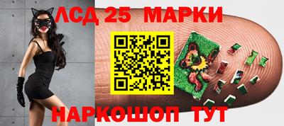 крисы Славгород