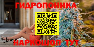 крисы Славгород