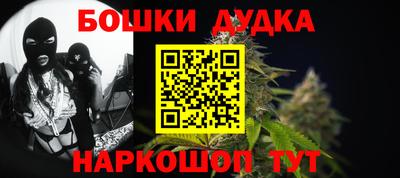крисы Славгород