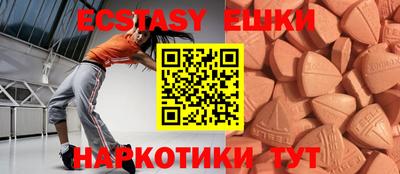 крисы Славгород