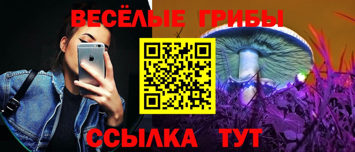 Прокопьевск  Псилоцибиновые грибы Magic Shrooms  Вход с VPN 