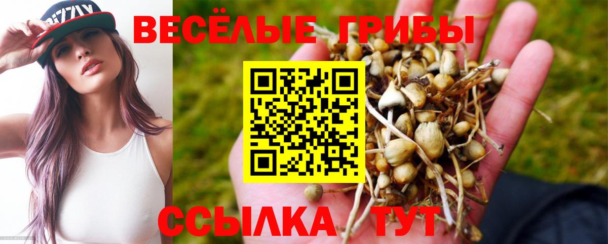 Галлюциногенные грибы Psilocybine cubensis Прокопьевск