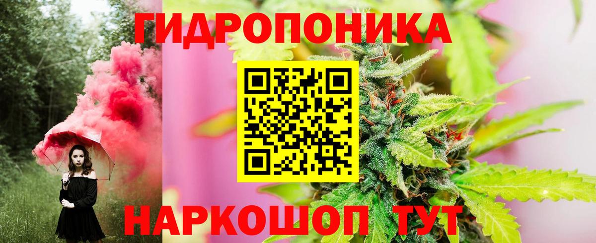Канабис OG Kush Прокопьевск